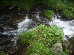 川