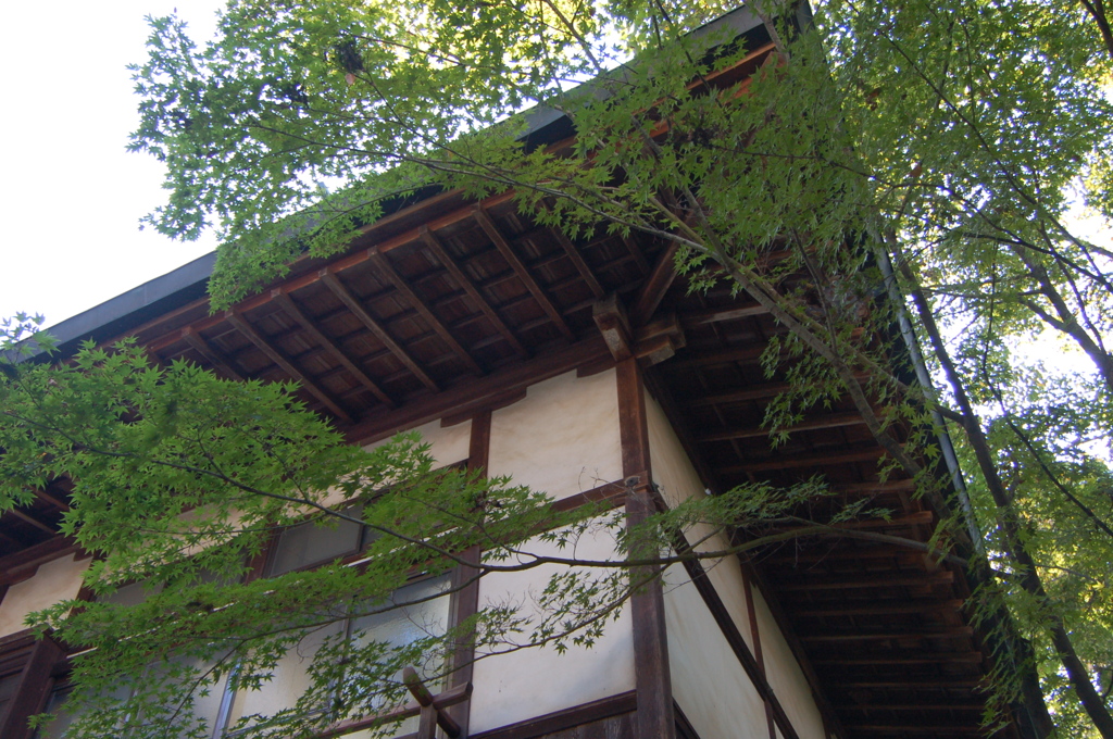 建物