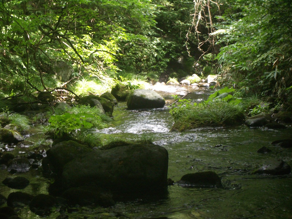 川