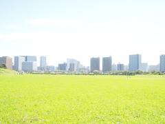 多摩川河川敷