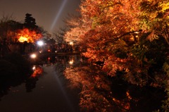 京都　紅葉