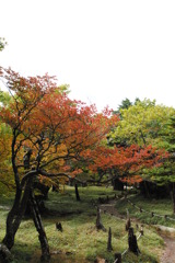 赤・黄・緑
