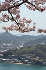 コラボ2