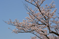 空に向かって