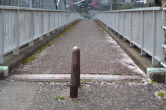 橋の上に