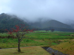 風景写真２