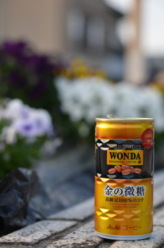 ワンダ‼︎