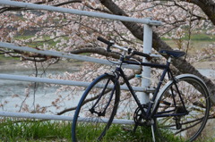 自転車
