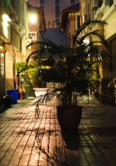 路上の肖像