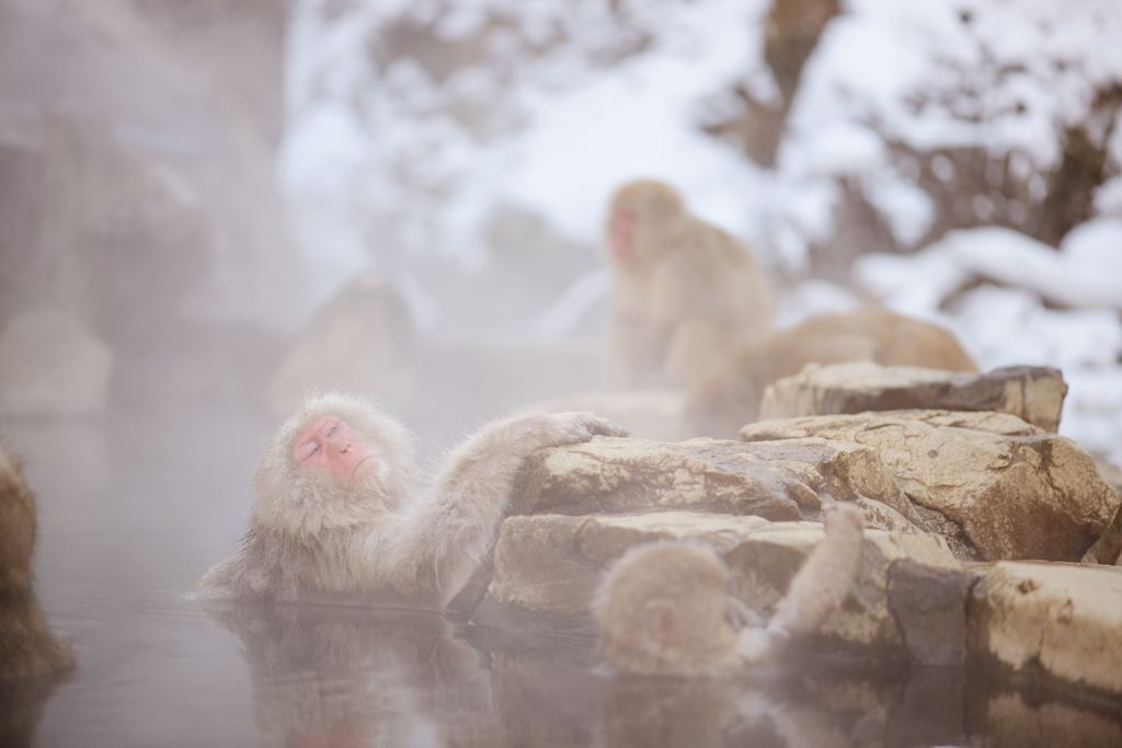 長湯して