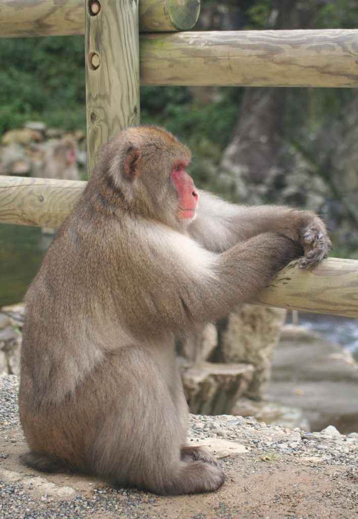 思いふける・・・