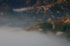 桜仙峡