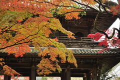 古刹の門