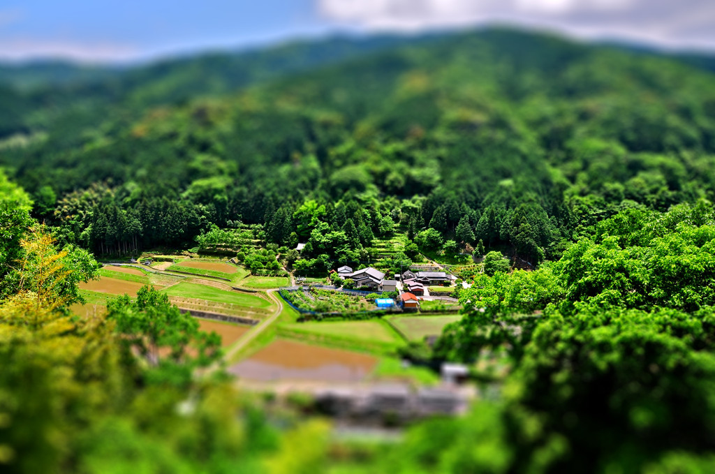 田水張る