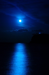 蒼夜