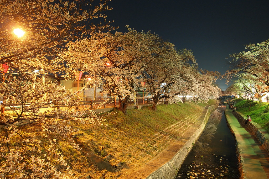 夜のお散歩