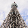 現在５３９m
