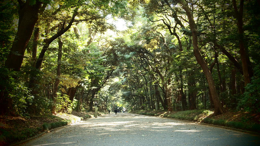 平日の散歩道