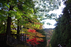 IMGP0122