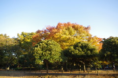IMGP0196
