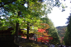 IMGP0123