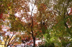 IMGP0150