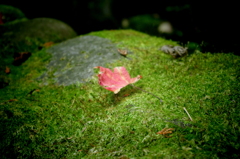 IMGP0189