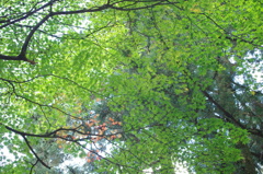 IMGP0184