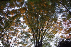 IMGP0228