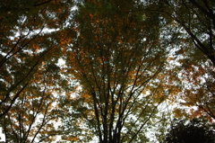 IMGP0231