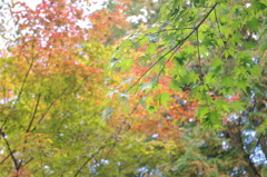 IMGP0162
