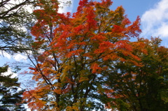IMGP0013