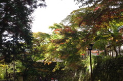 IMGP0153