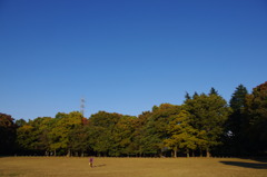 IMGP0201