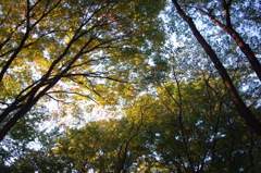IMGP0223