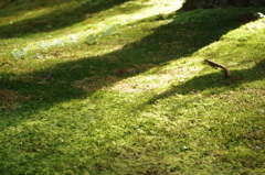 IMGP0115
