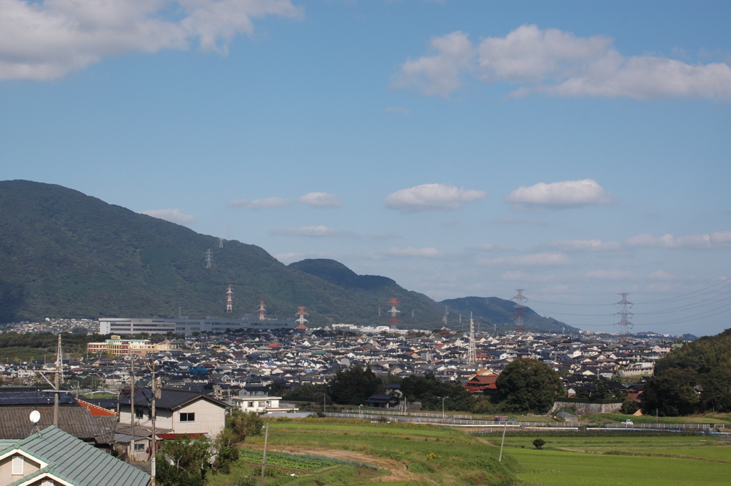 丘から臨む見慣れた町並み