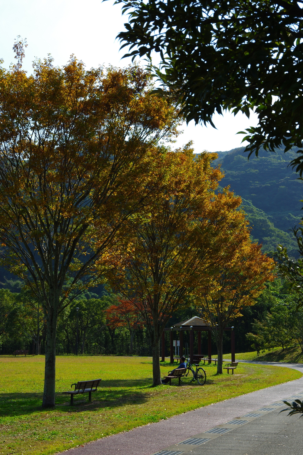 ある日、ある時の黄昏