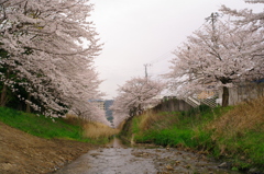 春風河原の風景