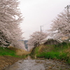 春風河原の風景