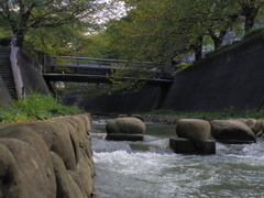 川沿いの散歩道