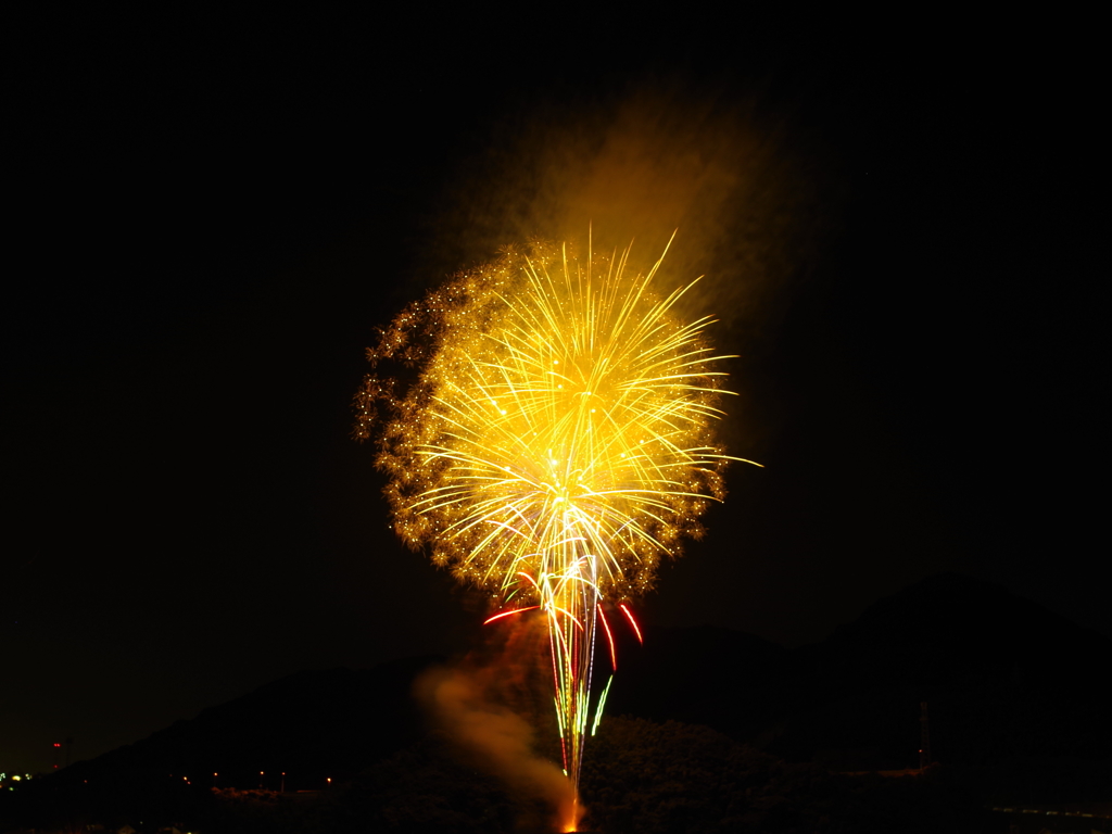 真夜中に咲く花