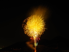 真夜中に咲く花