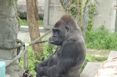 気に入らない様子