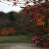 雨の中の彩り