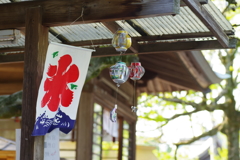 初夏の足音