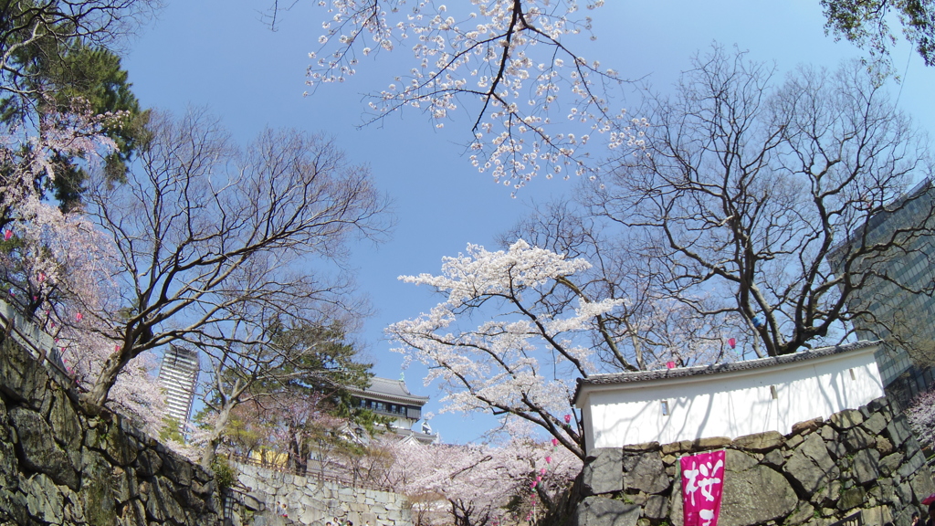 城下からの展望