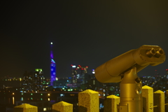 展望台より望む