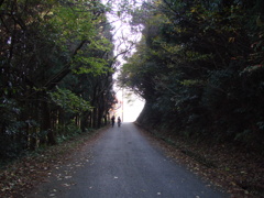 山の遊歩道