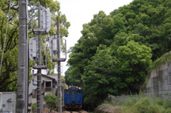 小径を行く列車